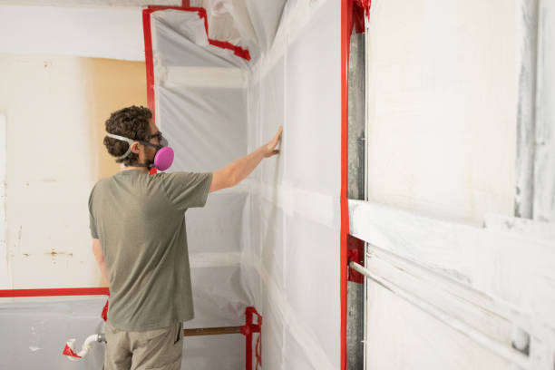  Caledonia, MS Mold Removal Pros